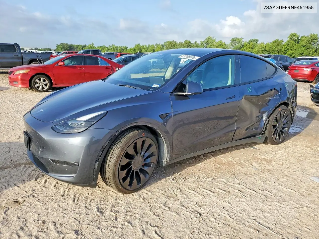 2022 Tesla Model Y VIN: 7SAYGDEF9NF461955 Lot: 61708506