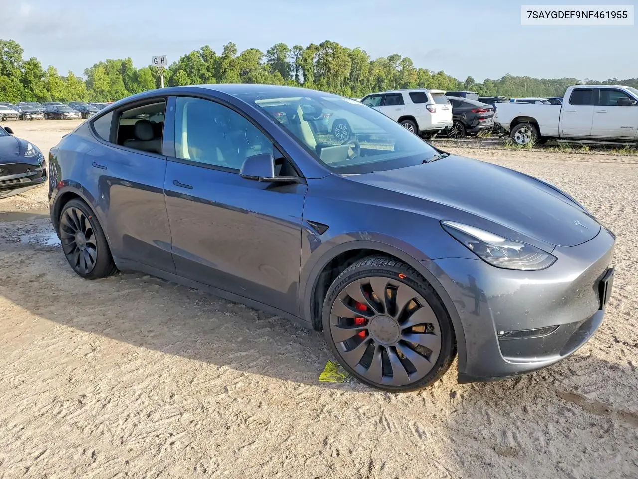 2022 Tesla Model Y VIN: 7SAYGDEF9NF461955 Lot: 61708506