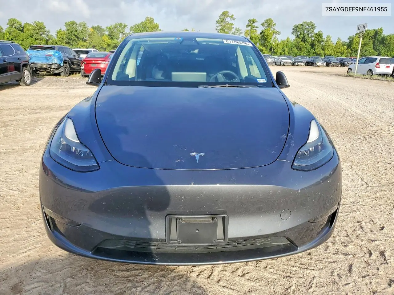 2022 Tesla Model Y VIN: 7SAYGDEF9NF461955 Lot: 61708506