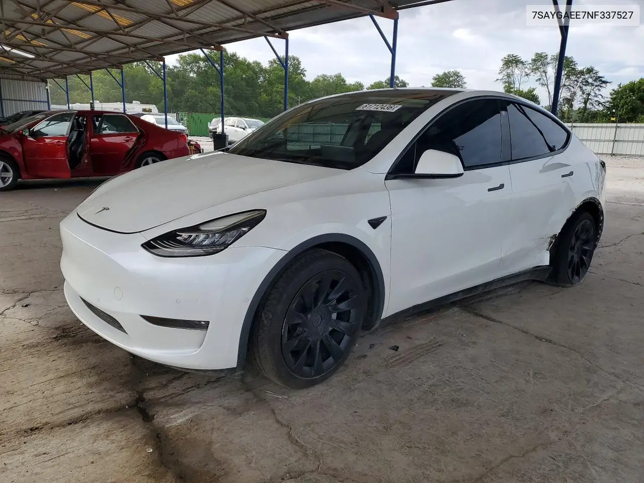 2022 Tesla Model Y VIN: 7SAYGAEE7NF337527 Lot: 61712436