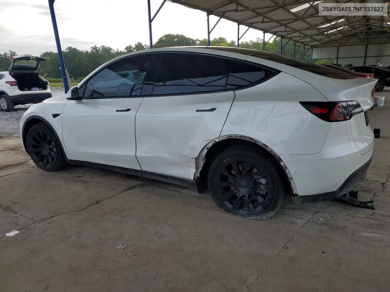 2022 Tesla Model Y VIN: 7SAYGAEE7NF337527 Lot: 61712436