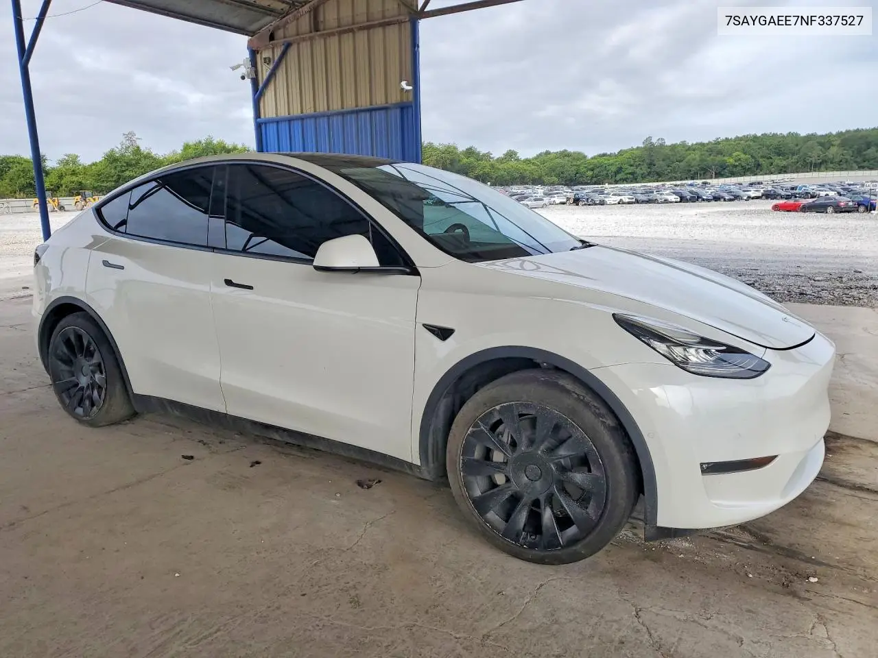 2022 Tesla Model Y VIN: 7SAYGAEE7NF337527 Lot: 61712436