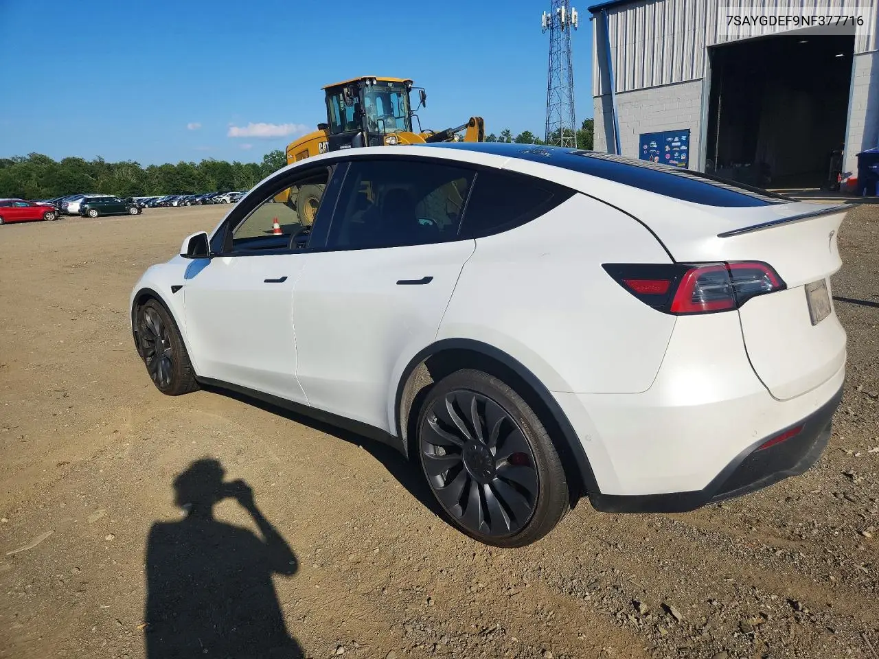 2022 Tesla Model Y VIN: 7SAYGDEF9NF377716 Lot: 61905956