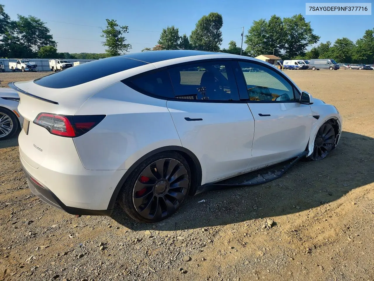 2022 Tesla Model Y VIN: 7SAYGDEF9NF377716 Lot: 61905956