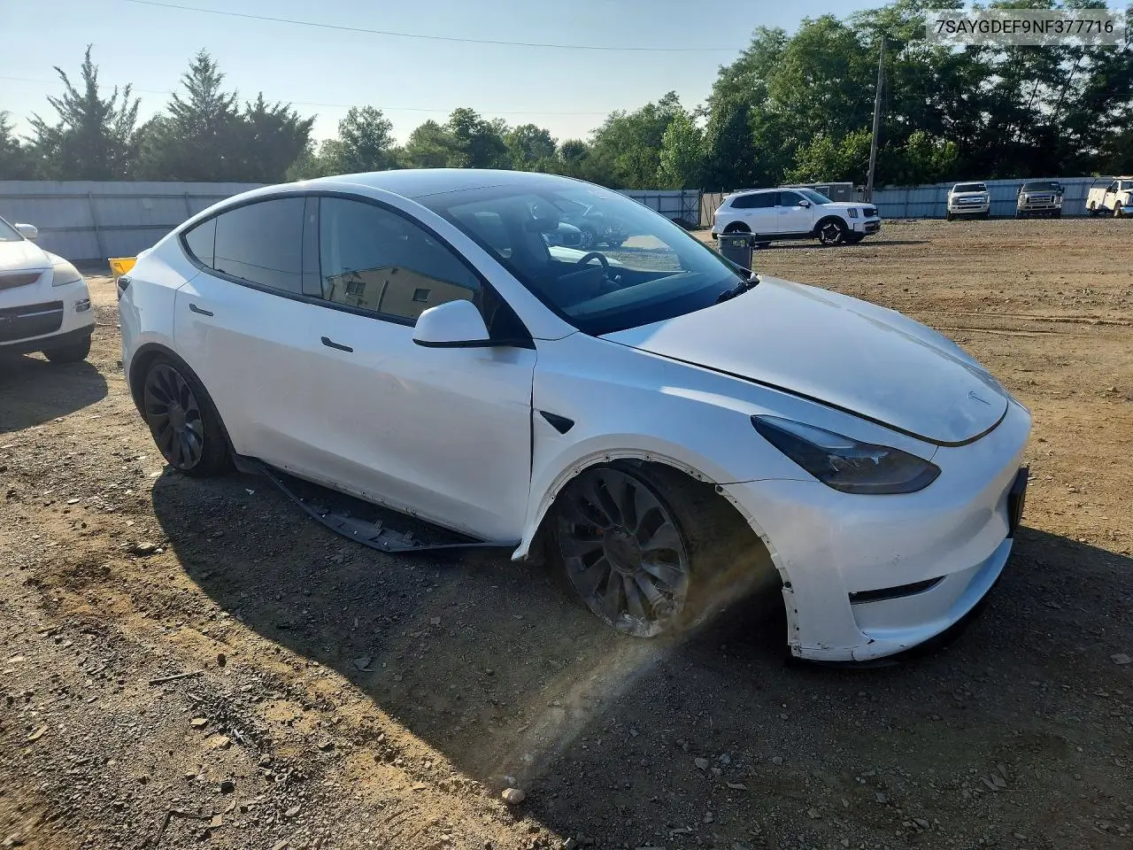 2022 Tesla Model Y VIN: 7SAYGDEF9NF377716 Lot: 61905956