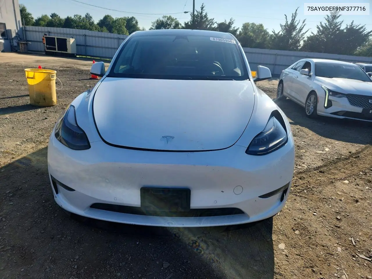 2022 Tesla Model Y VIN: 7SAYGDEF9NF377716 Lot: 61905956