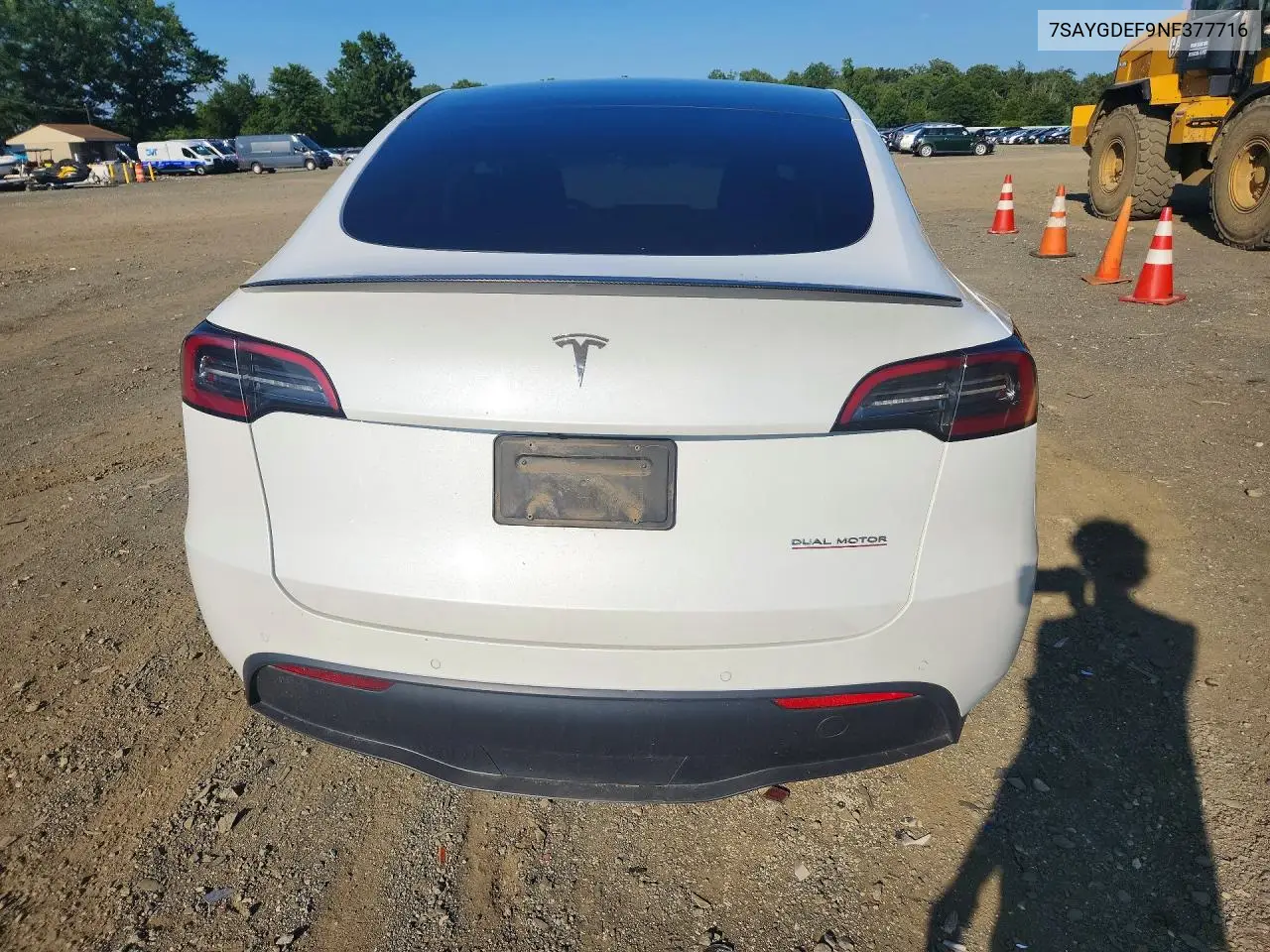 2022 Tesla Model Y VIN: 7SAYGDEF9NF377716 Lot: 61905956