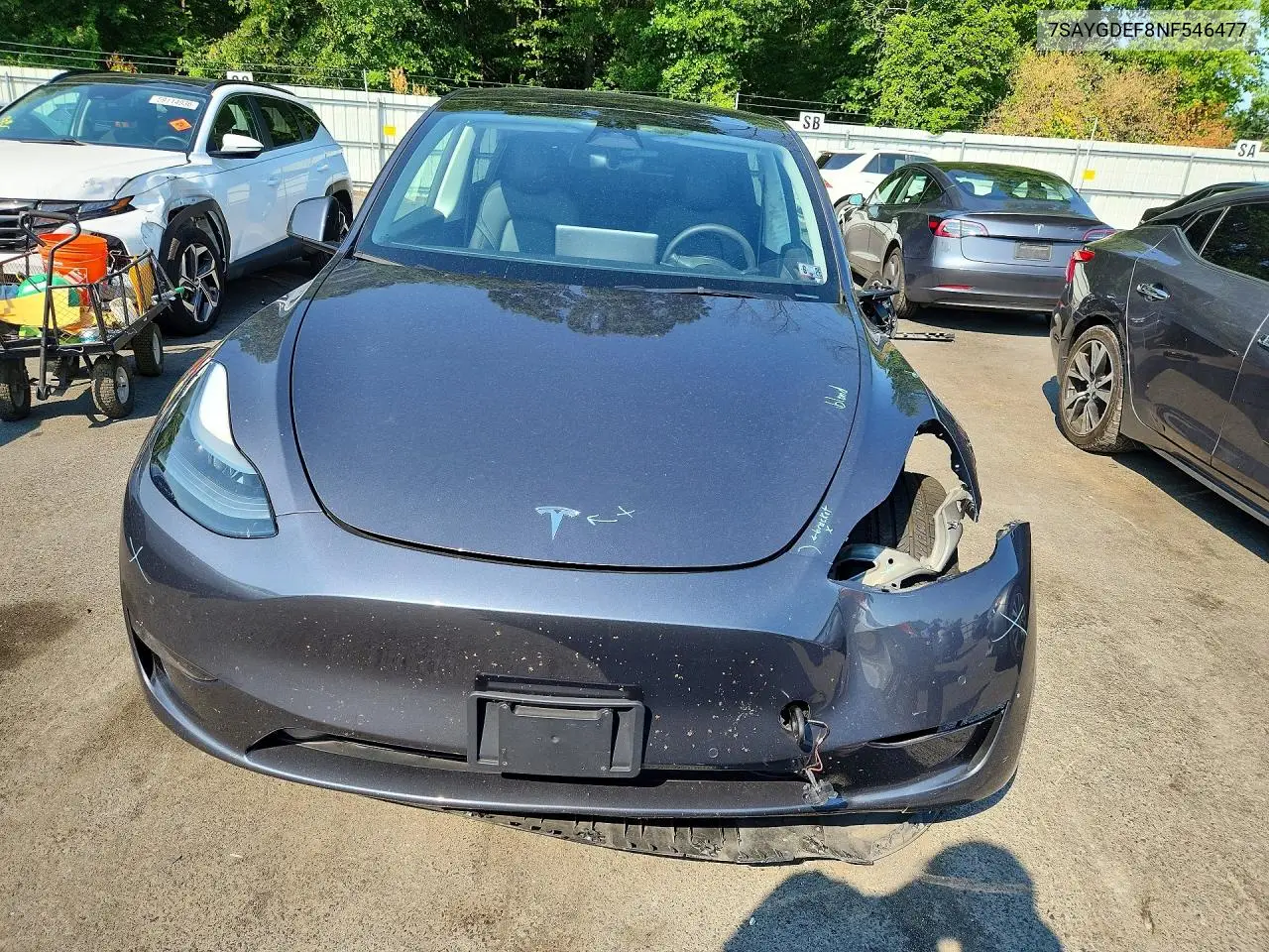 2022 Tesla Model Y VIN: 7SAYGDEF8NF546477 Lot: 85986405