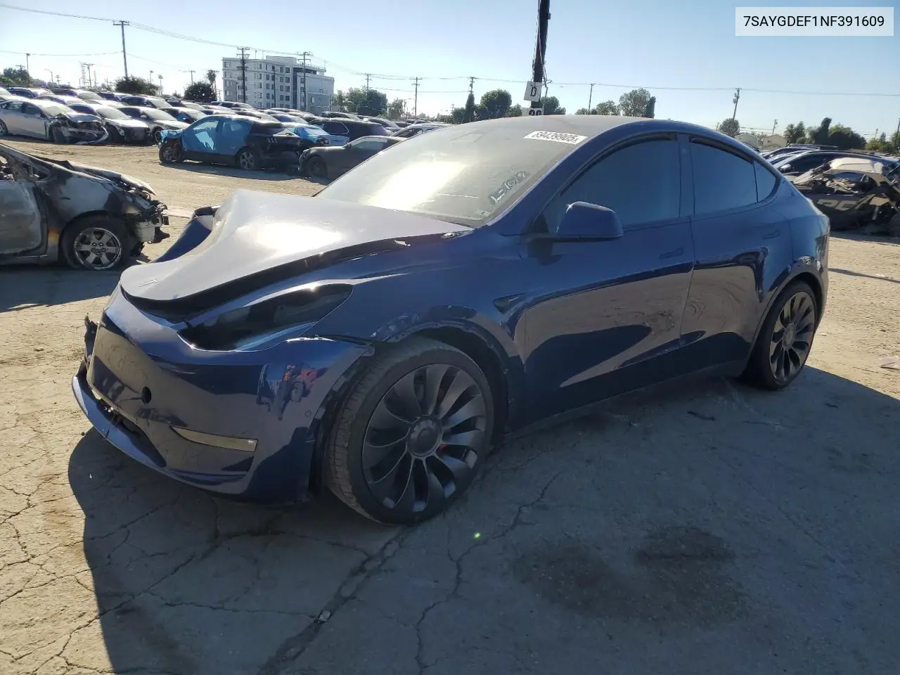 7SAYGDEF1NF391609 2022 Tesla Model Y
