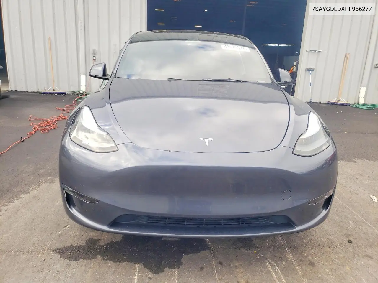 Model Y