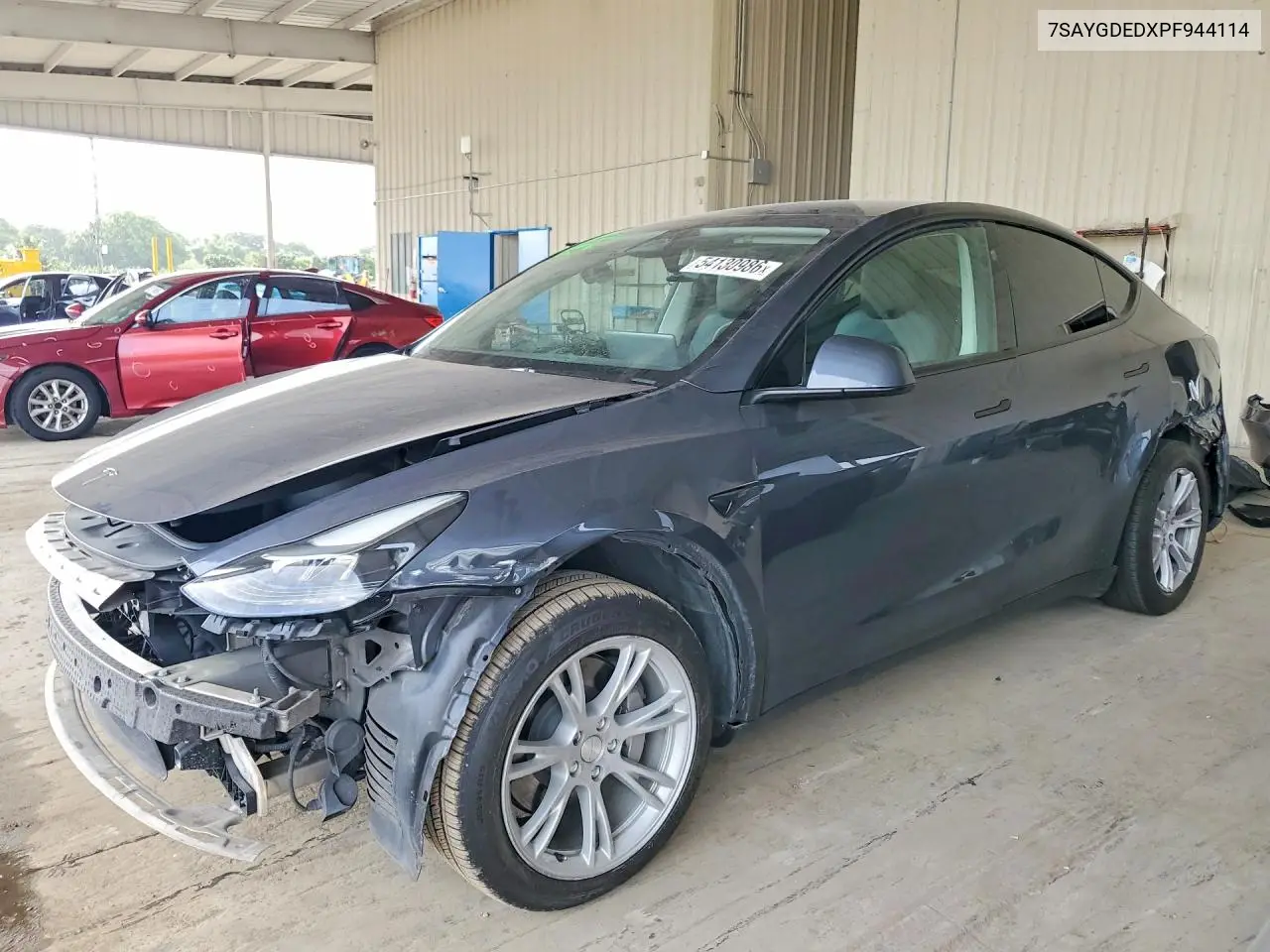2023 Tesla Model Y VIN: 7SAYGDEDXPF944114 Lot: 54130986