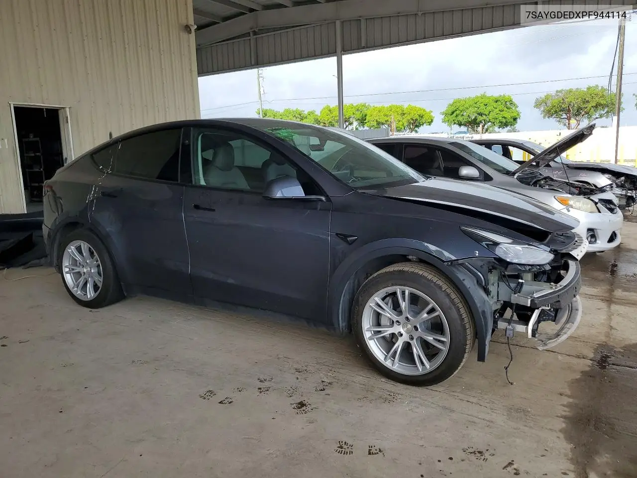 2023 Tesla Model Y VIN: 7SAYGDEDXPF944114 Lot: 54130986