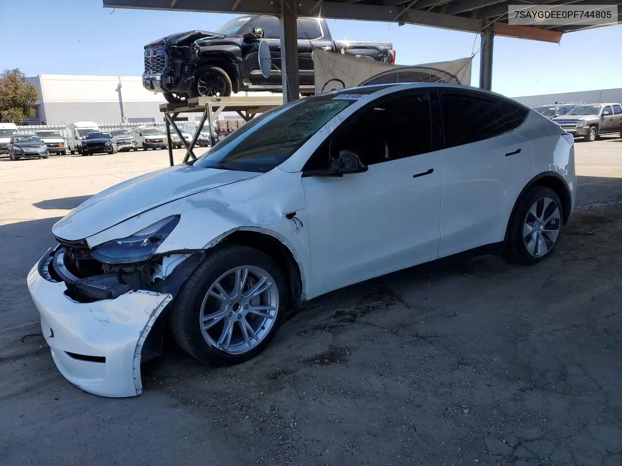 2023 Tesla Model Y VIN: 7SAYGDEE0PF744805 Lot: 55782406