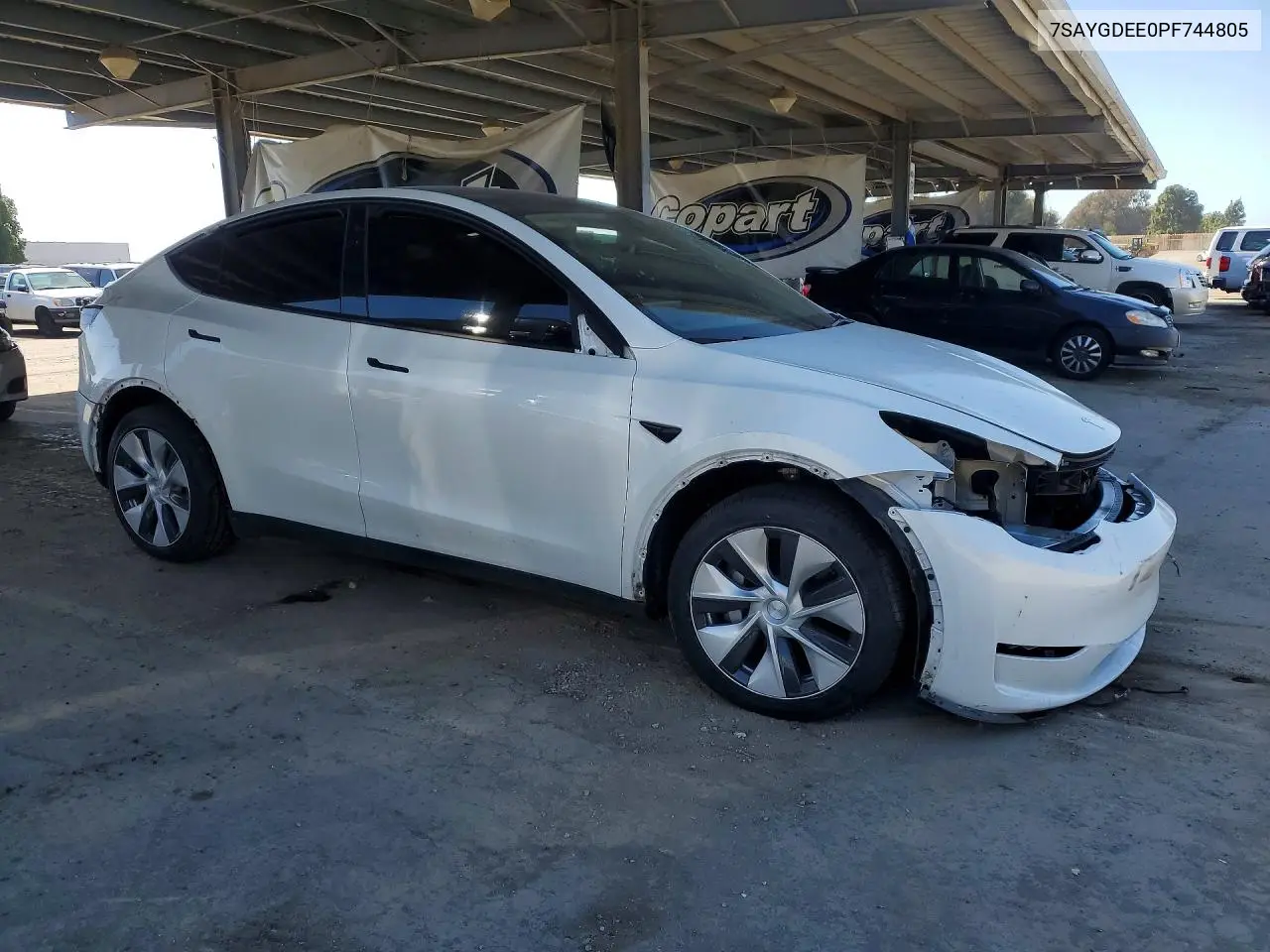 2023 Tesla Model Y VIN: 7SAYGDEE0PF744805 Lot: 55782406
