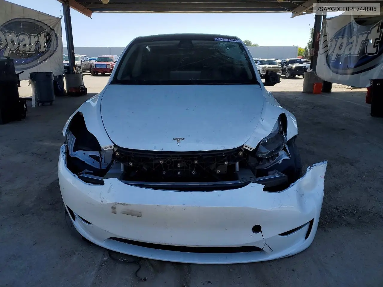 2023 Tesla Model Y VIN: 7SAYGDEE0PF744805 Lot: 55782406