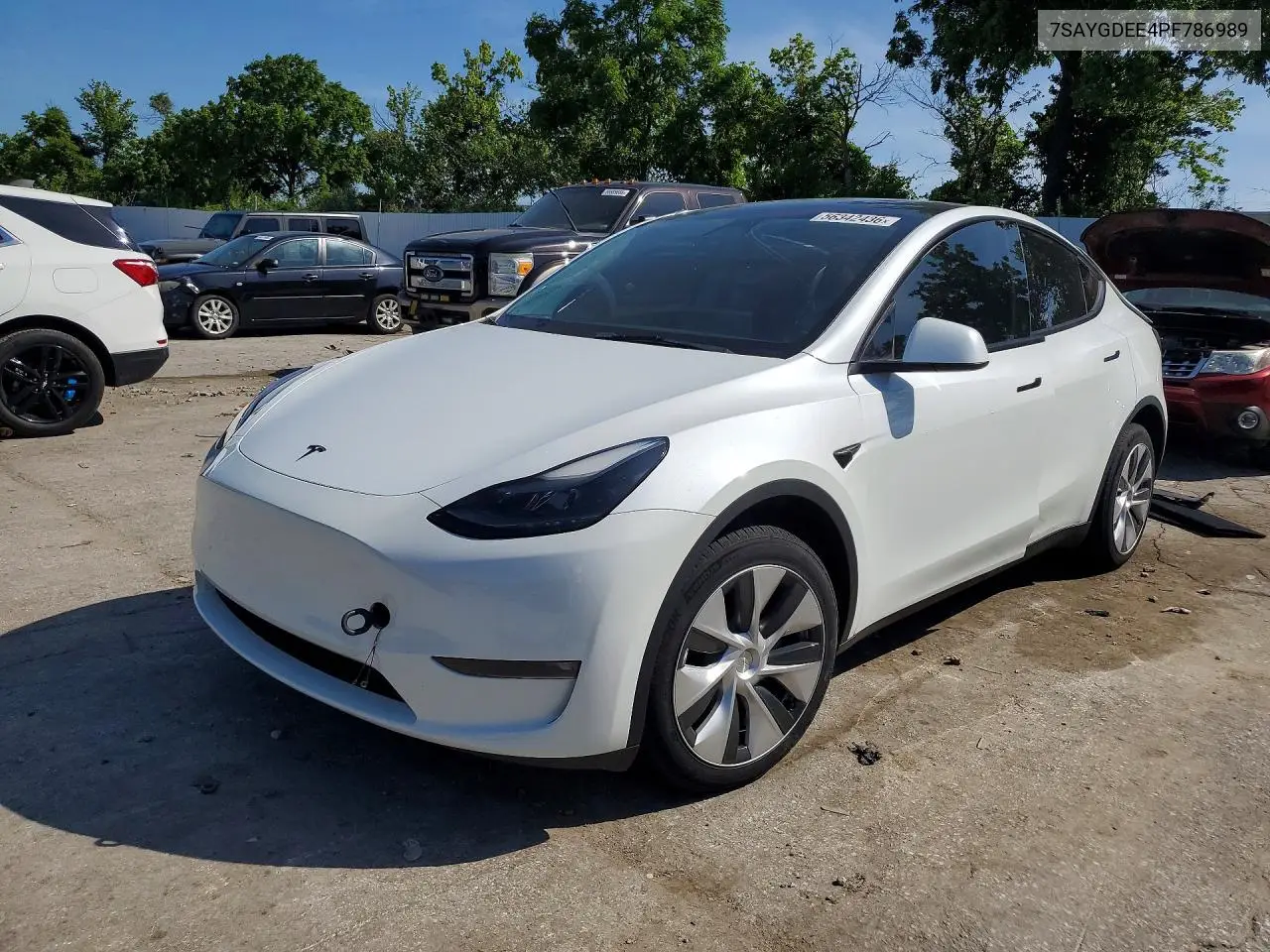 2023 Tesla Model Y VIN: 7SAYGDEE4PF786989 Lot: 56342436