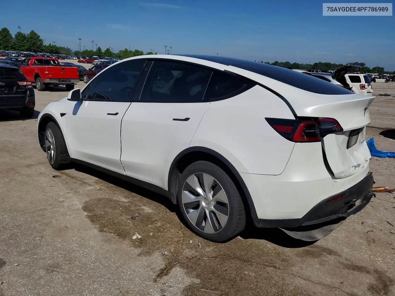 2023 Tesla Model Y VIN: 7SAYGDEE4PF786989 Lot: 56342436