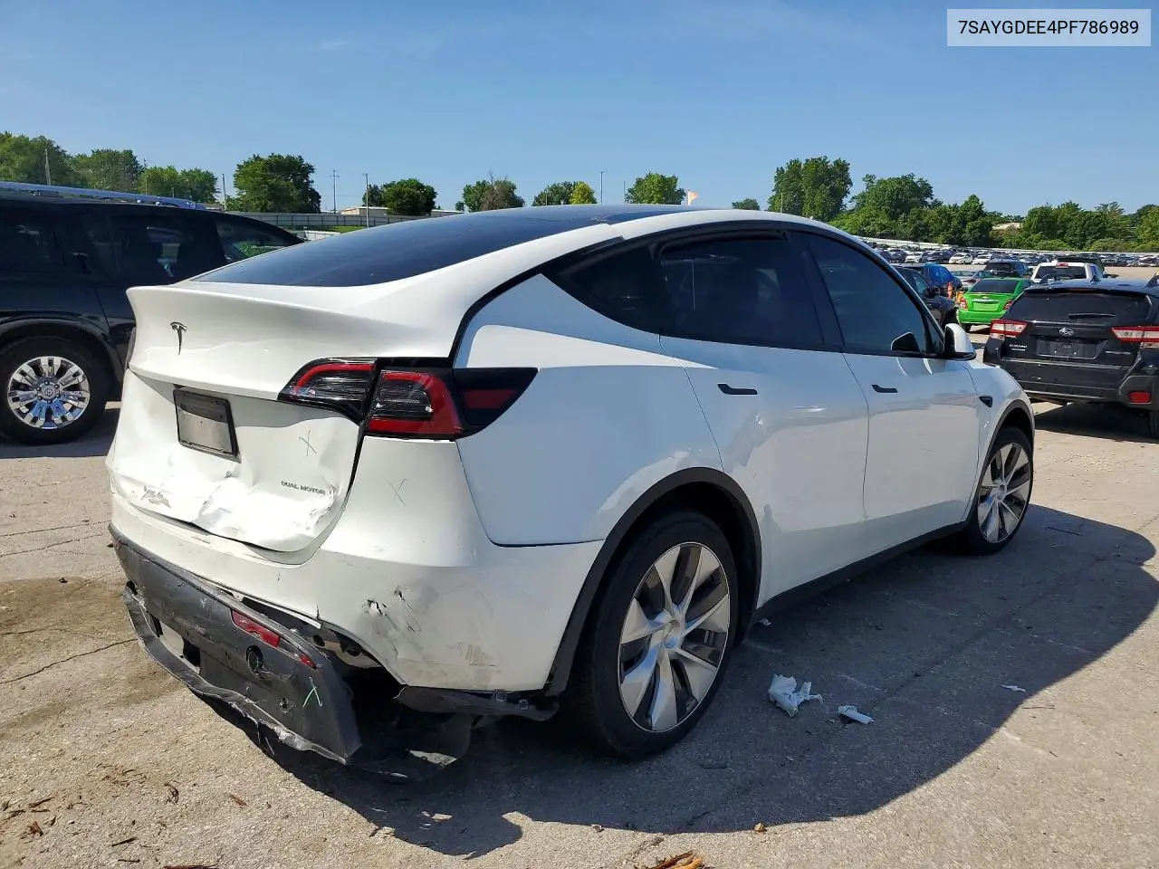 2023 Tesla Model Y VIN: 7SAYGDEE4PF786989 Lot: 56342436
