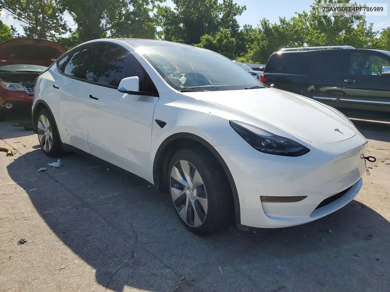 2023 Tesla Model Y VIN: 7SAYGDEE4PF786989 Lot: 56342436