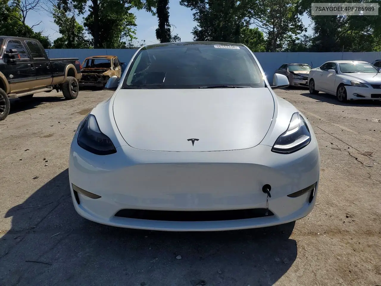 2023 Tesla Model Y VIN: 7SAYGDEE4PF786989 Lot: 56342436