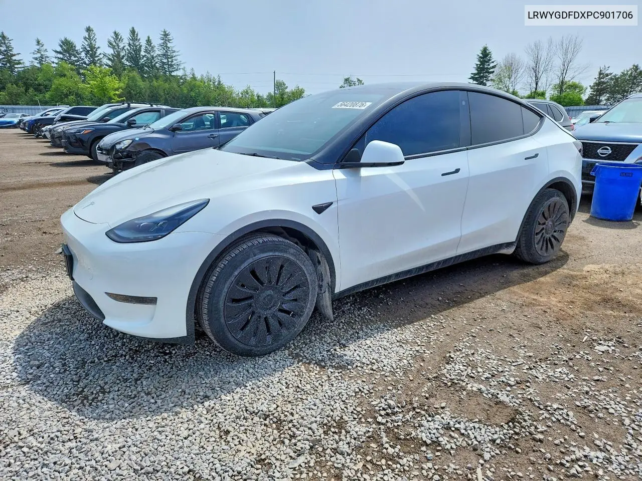 2023 Tesla Model Y VIN: LRWYGDFDXPC901706 Lot: 56420876