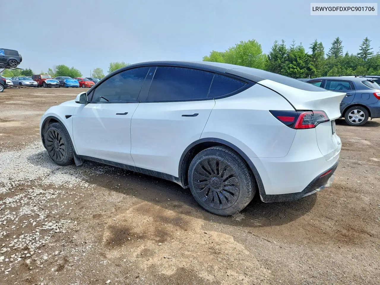2023 Tesla Model Y VIN: LRWYGDFDXPC901706 Lot: 56420876