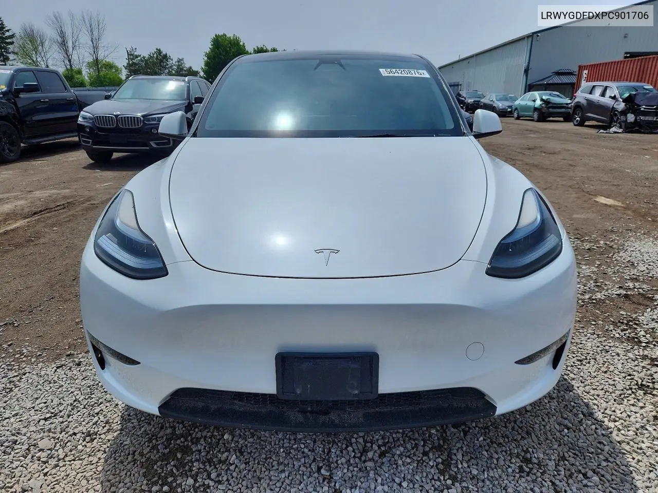 2023 Tesla Model Y VIN: LRWYGDFDXPC901706 Lot: 56420876