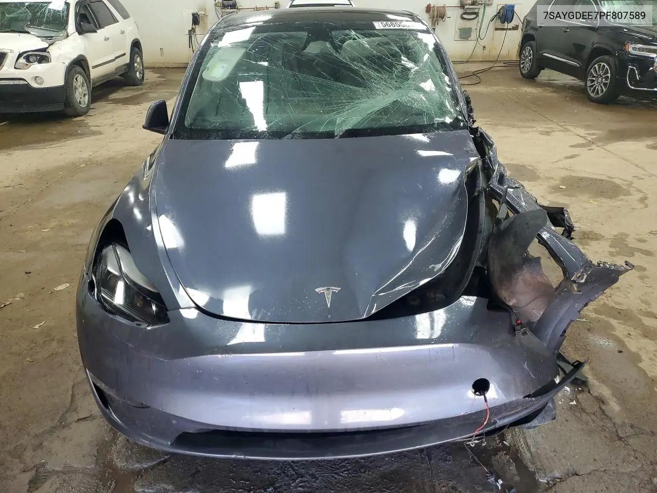 2023 Tesla Model Y VIN: 7SAYGDEE7PF807589 Lot: 56850846
