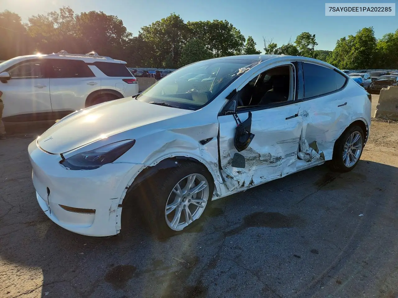 2023 Tesla Model Y VIN: 7SAYGDEE1PA202285 Lot: 57136066