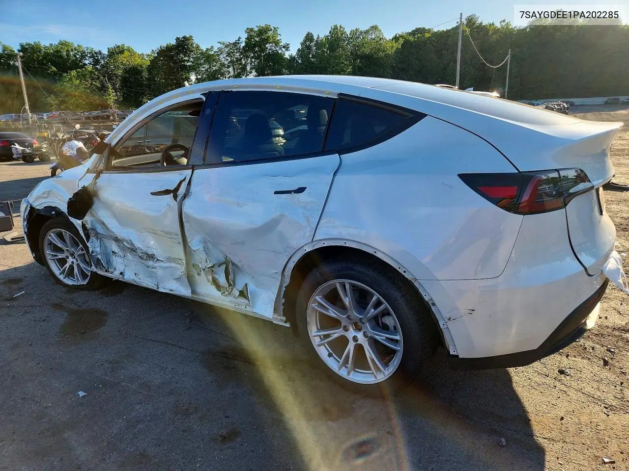 2023 Tesla Model Y VIN: 7SAYGDEE1PA202285 Lot: 57136066