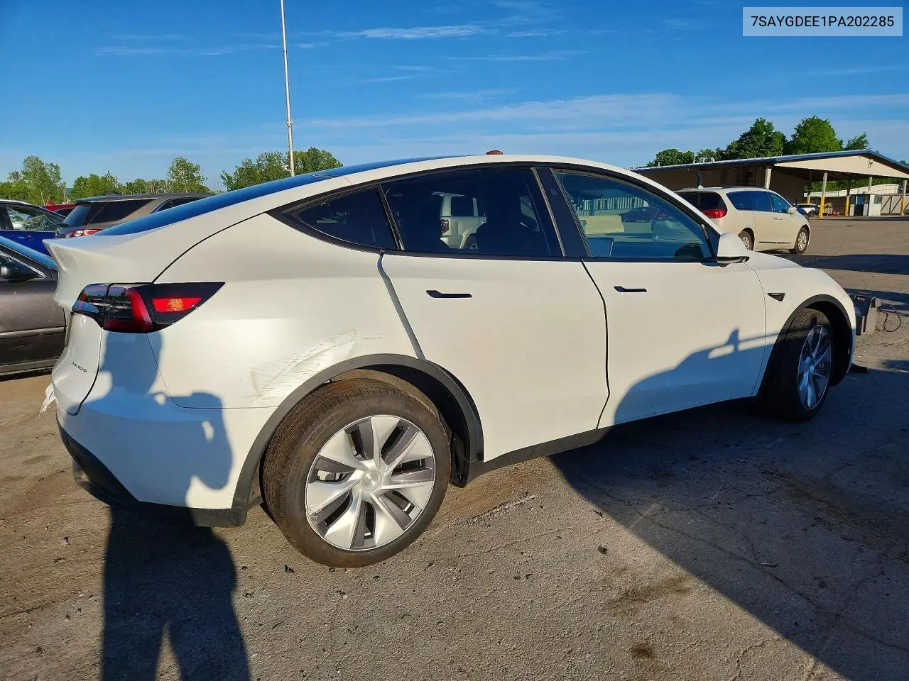 2023 Tesla Model Y VIN: 7SAYGDEE1PA202285 Lot: 57136066