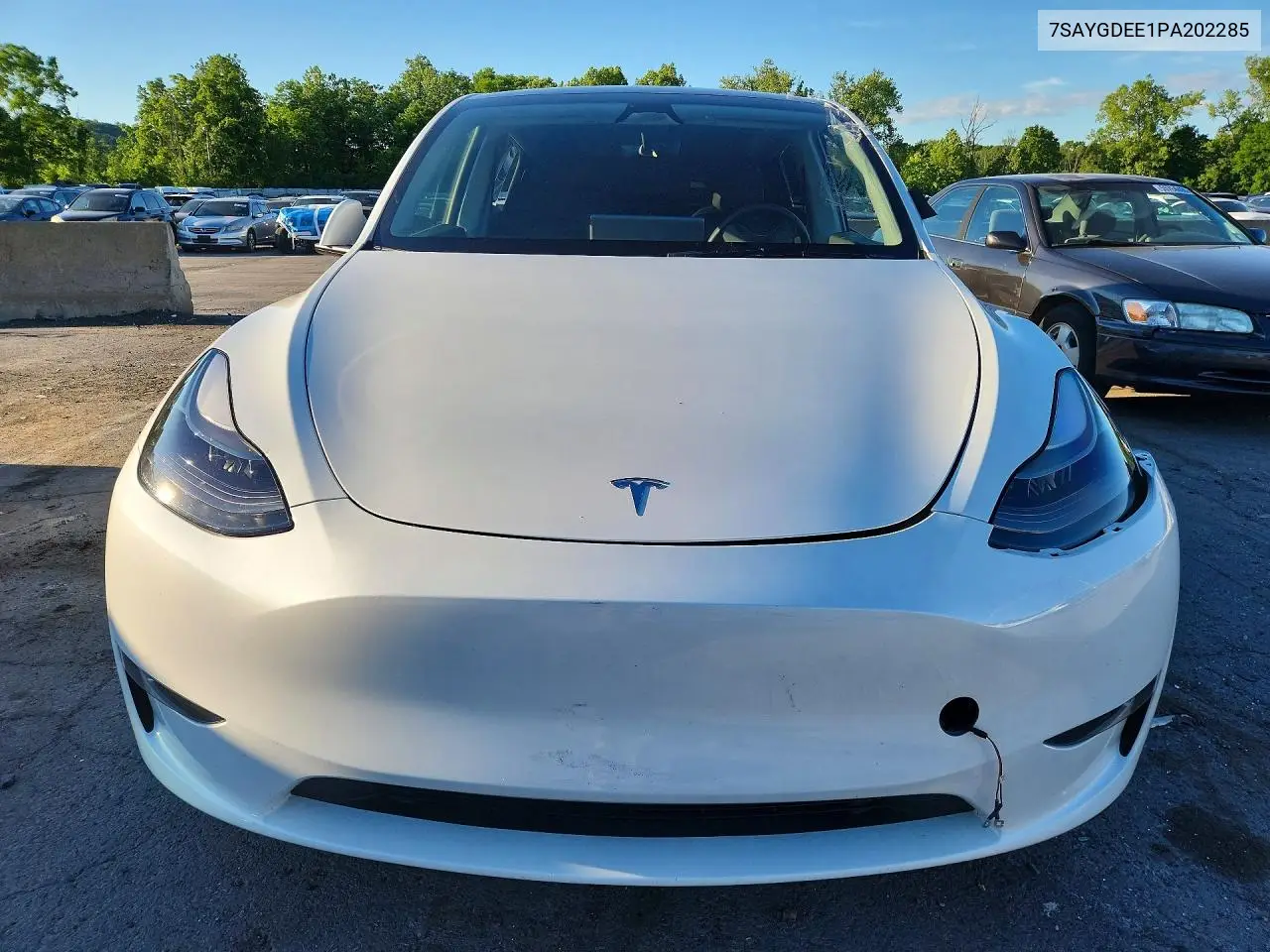 2023 Tesla Model Y VIN: 7SAYGDEE1PA202285 Lot: 57136066