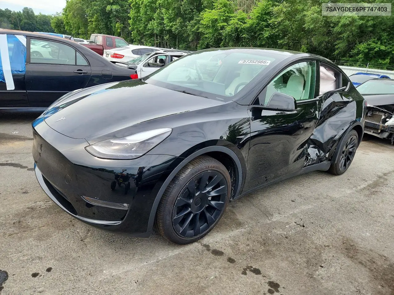2023 Tesla Model Y VIN: 7SAYGDEE6PF747403 Lot: 57352986