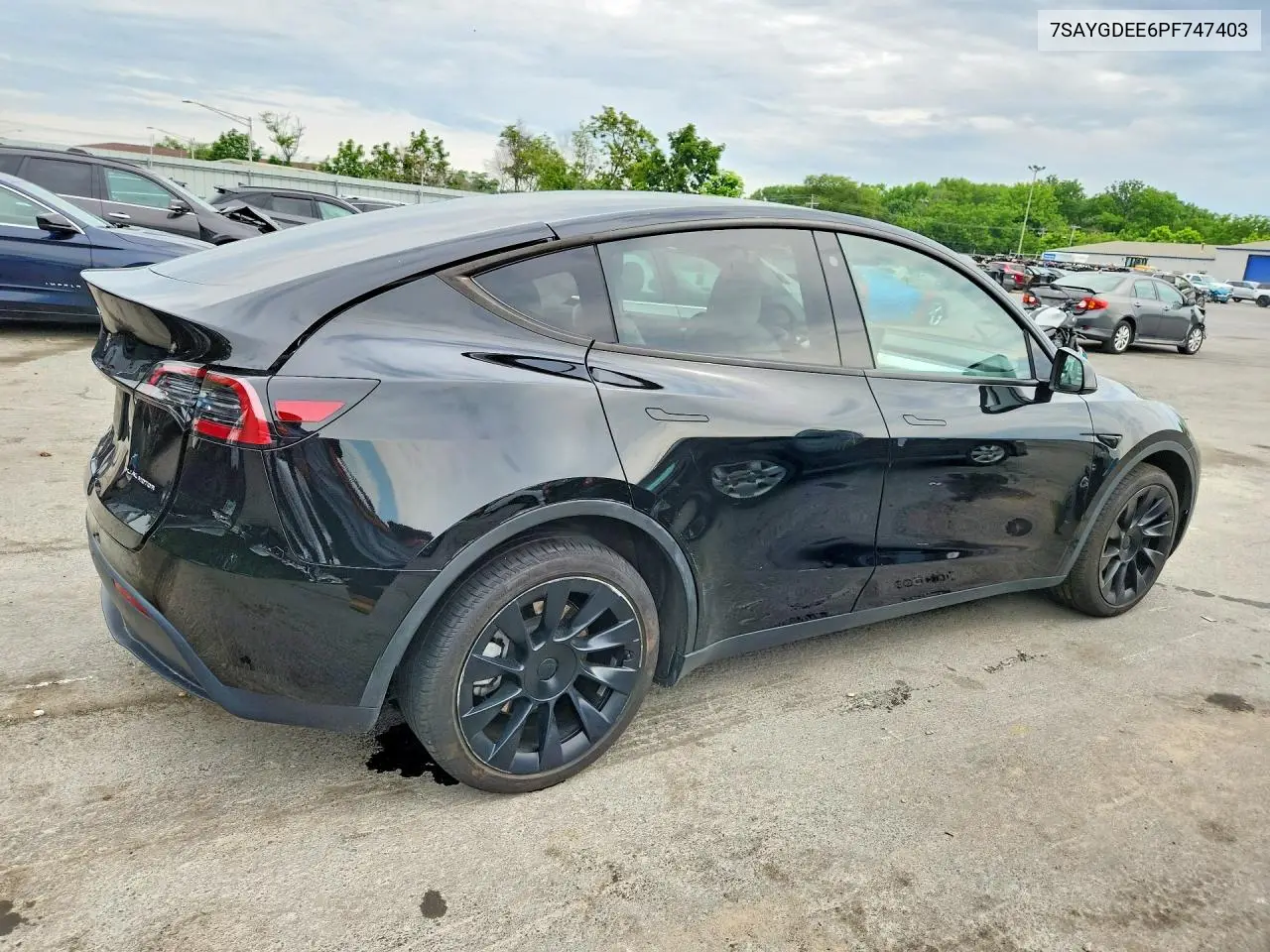 2023 Tesla Model Y VIN: 7SAYGDEE6PF747403 Lot: 57352986