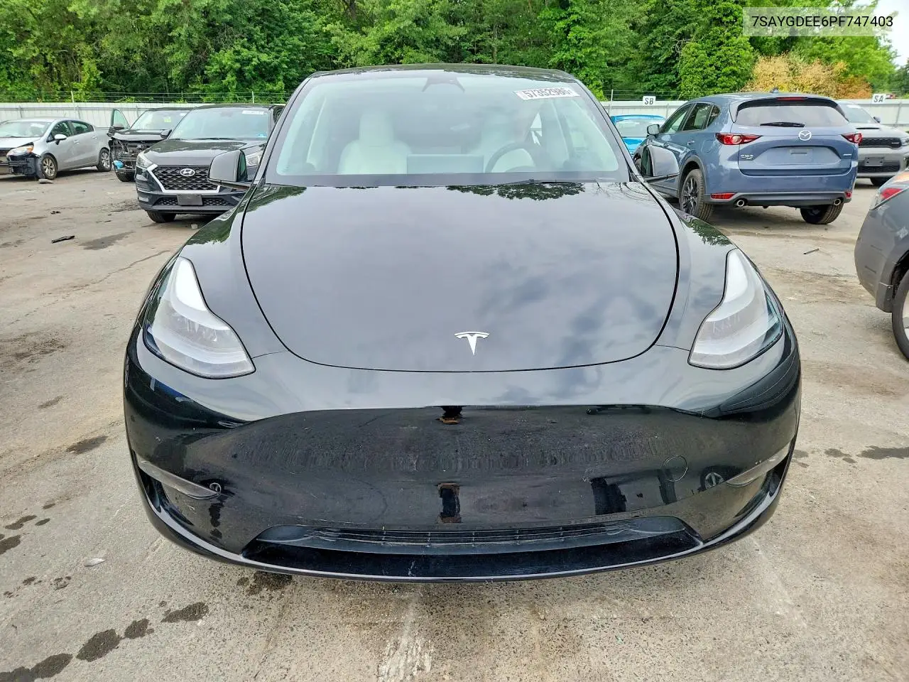 2023 Tesla Model Y VIN: 7SAYGDEE6PF747403 Lot: 57352986