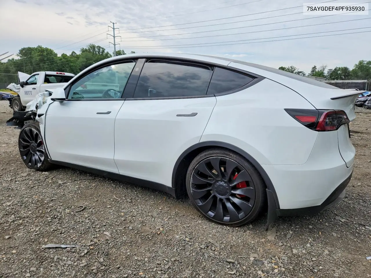 2023 Tesla Model Y VIN: 7SAYGDEF4PF935930 Lot: 57679856