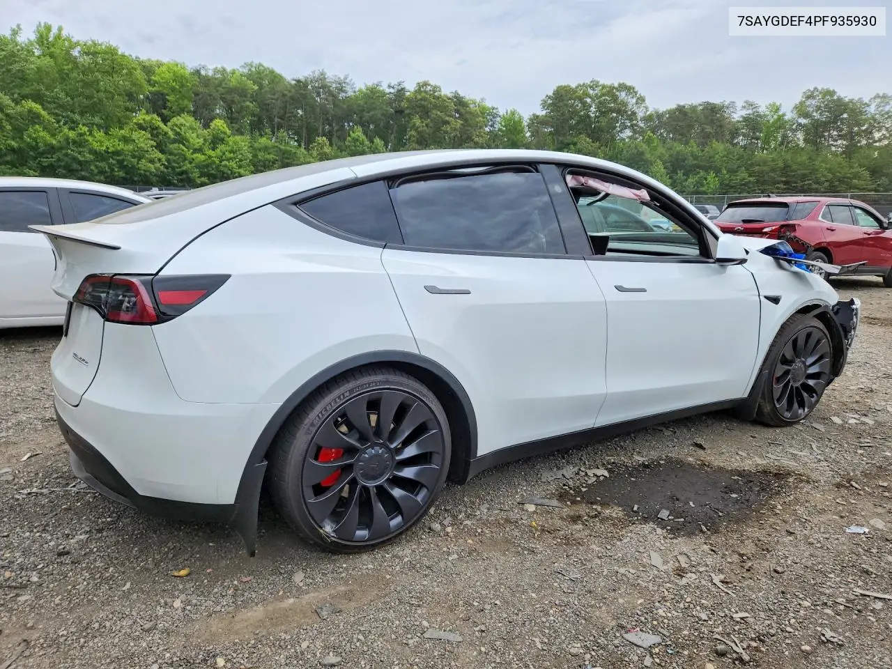 2023 Tesla Model Y VIN: 7SAYGDEF4PF935930 Lot: 57679856