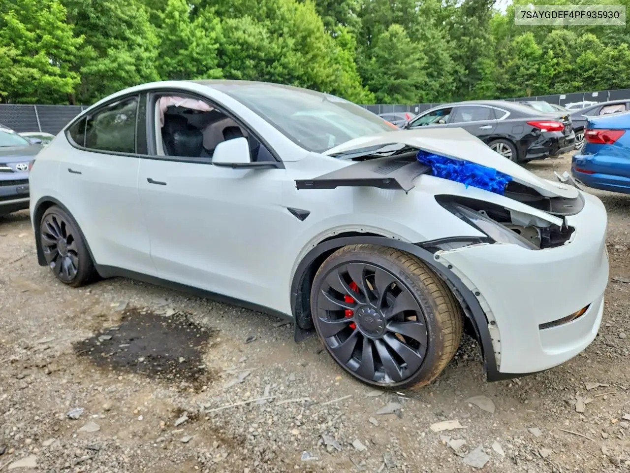2023 Tesla Model Y VIN: 7SAYGDEF4PF935930 Lot: 57679856