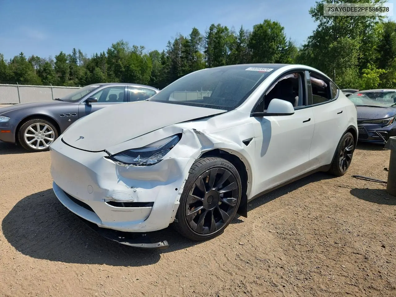2023 Tesla Model Y VIN: 7SAYGDEE2PF586578 Lot: 59093626