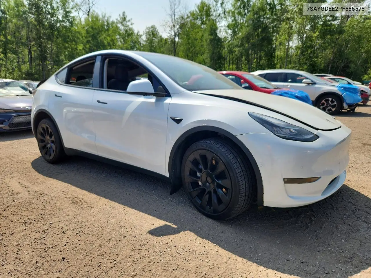2023 Tesla Model Y VIN: 7SAYGDEE2PF586578 Lot: 59093626