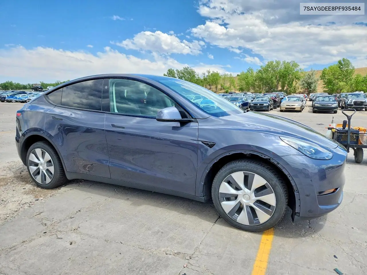 2023 Tesla Model Y VIN: 7SAYGDEE8PF935484 Lot: 59193216