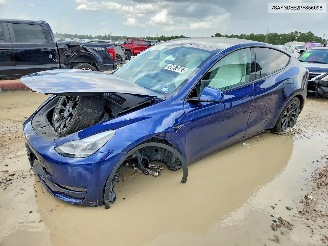 2023 Tesla Model Y VIN: 7SAYGDEE2PF856098 Lot: 59402716