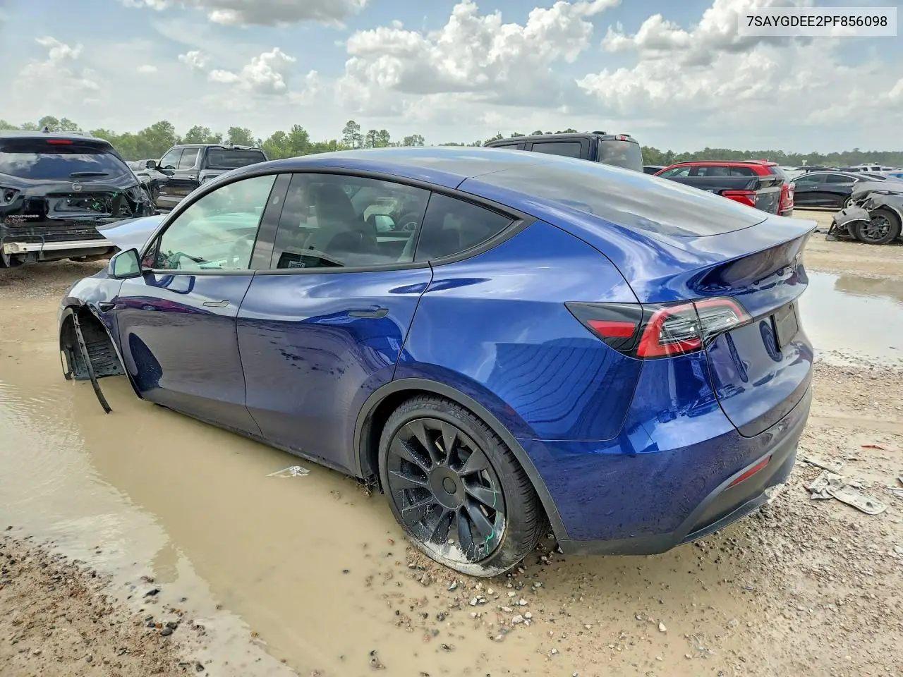 2023 Tesla Model Y VIN: 7SAYGDEE2PF856098 Lot: 59402716