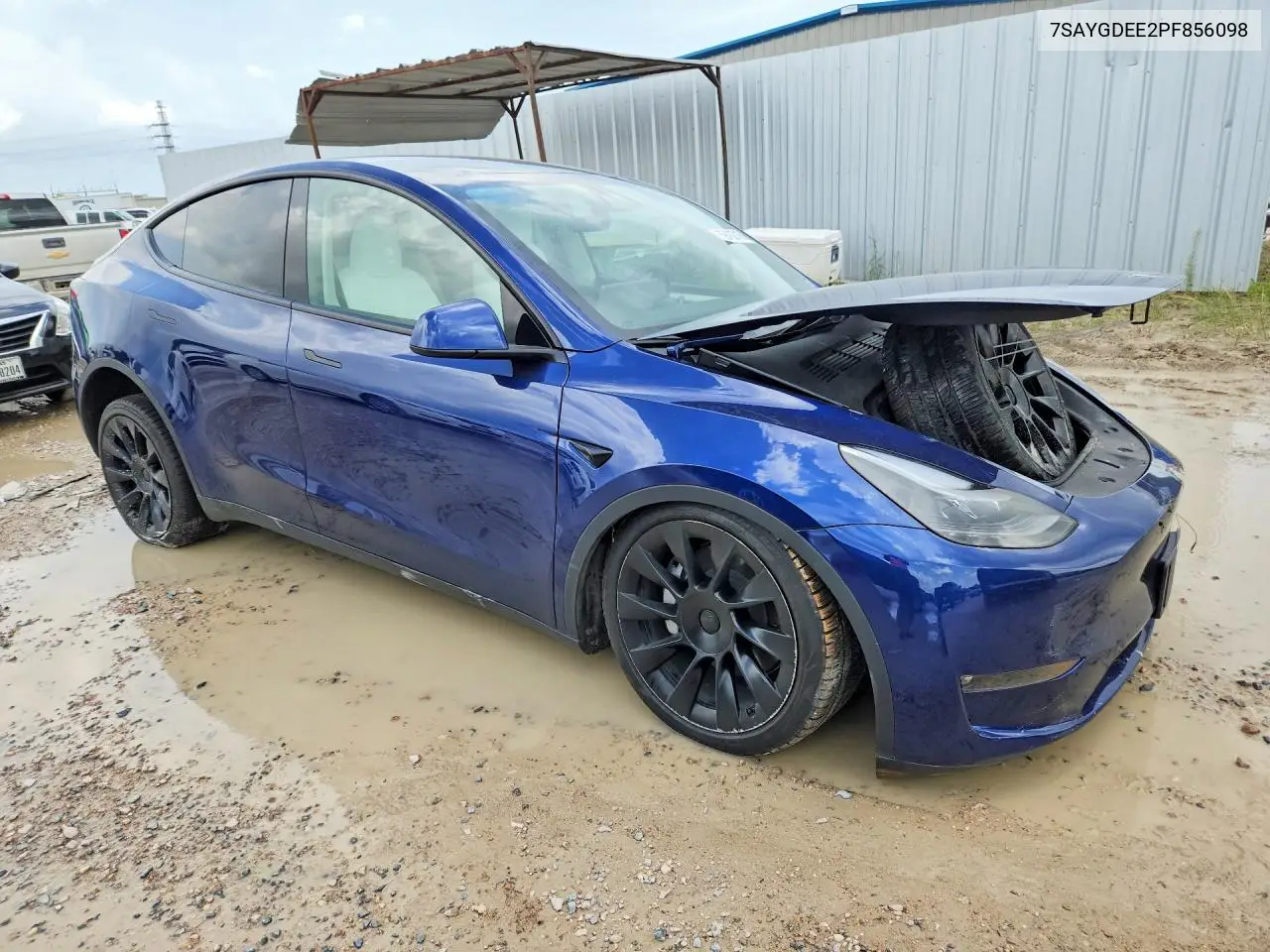 2023 Tesla Model Y VIN: 7SAYGDEE2PF856098 Lot: 59402716