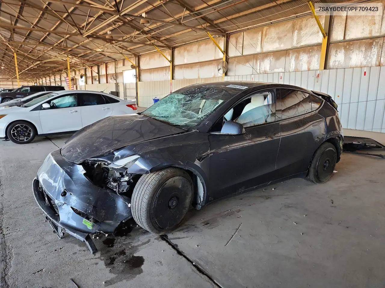 2023 Tesla Model Y VIN: 7SAYGDEE9PF709423 Lot: 60445166