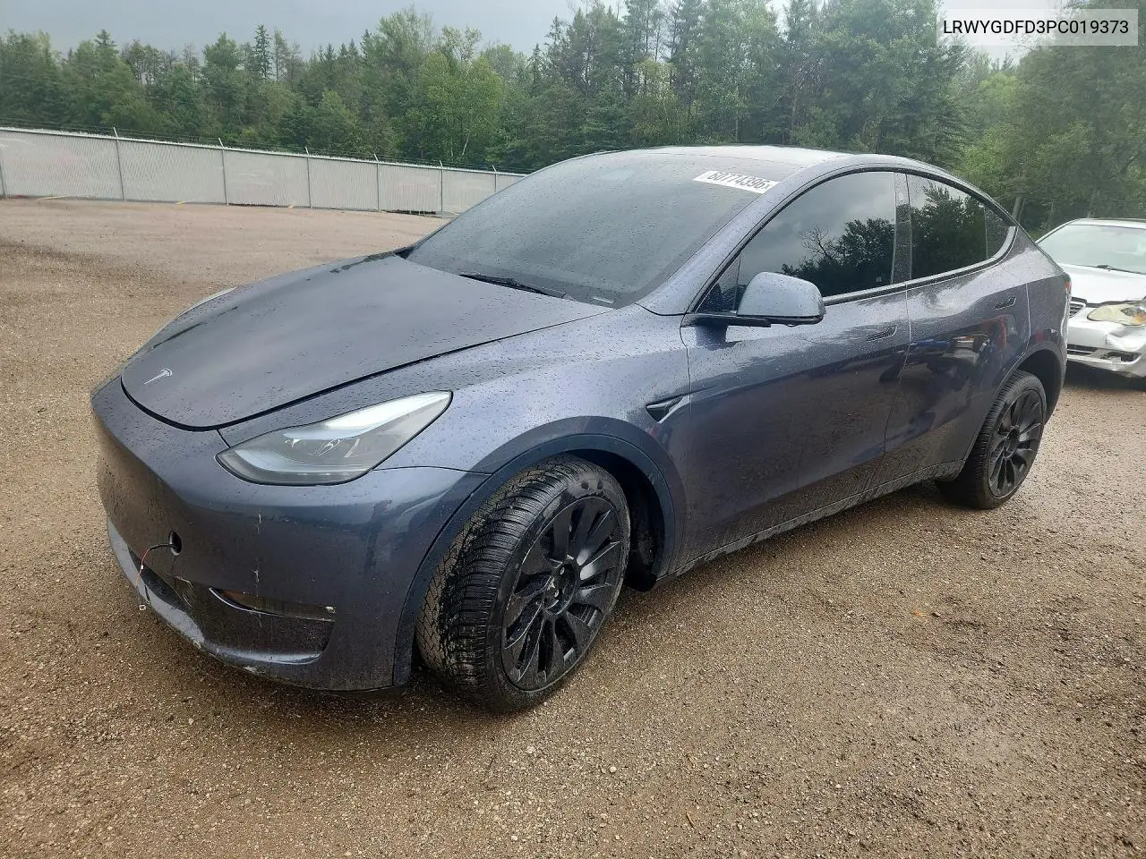 2023 Tesla Model Y VIN: LRWYGDFD3PC019373 Lot: 60774396