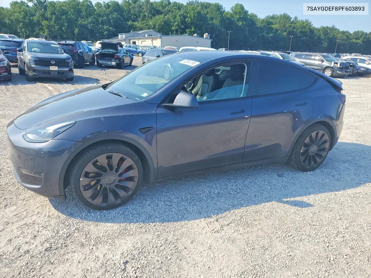 2023 Tesla Model Y VIN: 7SAYGDEF8PF603893 Lot: 60854186