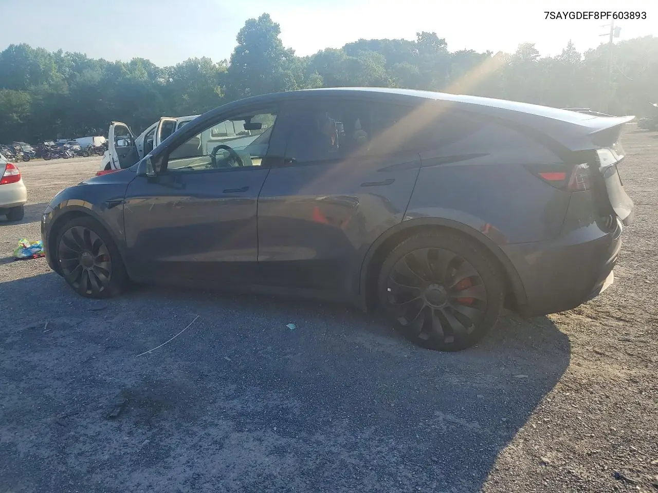 2023 Tesla Model Y VIN: 7SAYGDEF8PF603893 Lot: 60854186