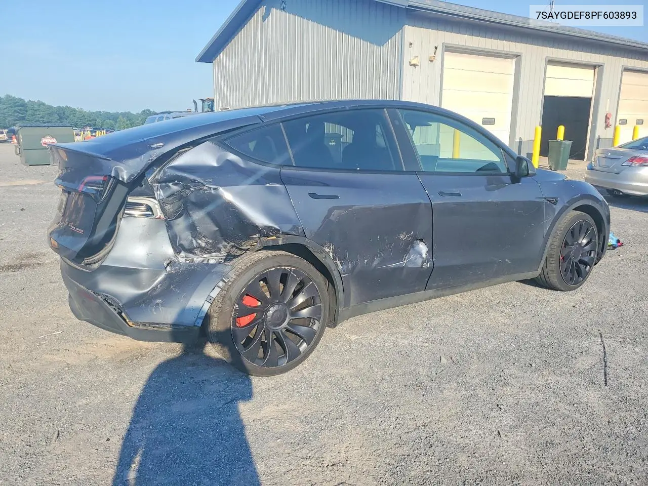 2023 Tesla Model Y VIN: 7SAYGDEF8PF603893 Lot: 60854186