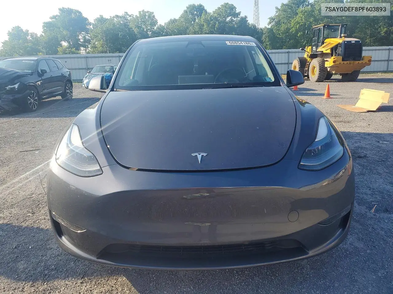 2023 Tesla Model Y VIN: 7SAYGDEF8PF603893 Lot: 60854186